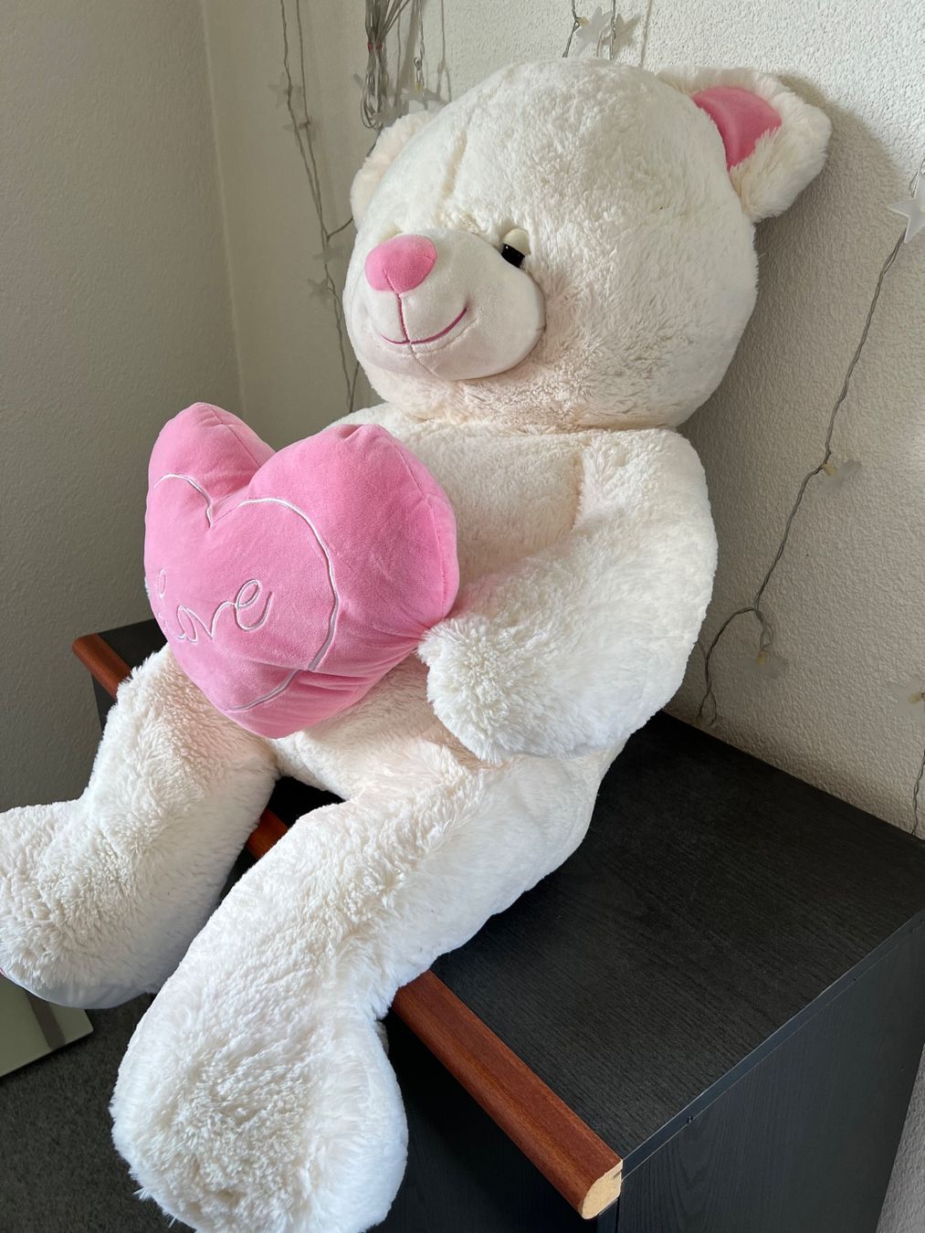 Giocattoli: Teddybär / Gross – Usato da aarwangen venduto da Butzi99 1