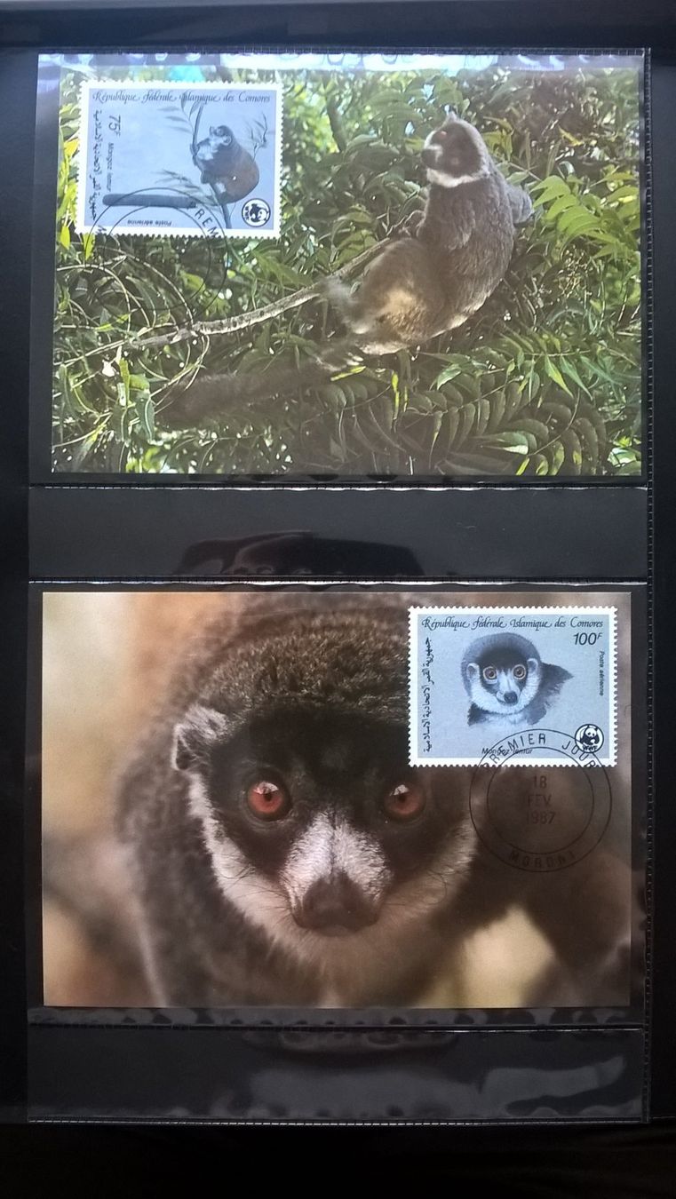 Tutti i francobolli: WWF Komoren 1987 Satz Mongozmaki Maximumkarten – Nuovo (secondo la descrizione) da Liestal venduto da schnueps