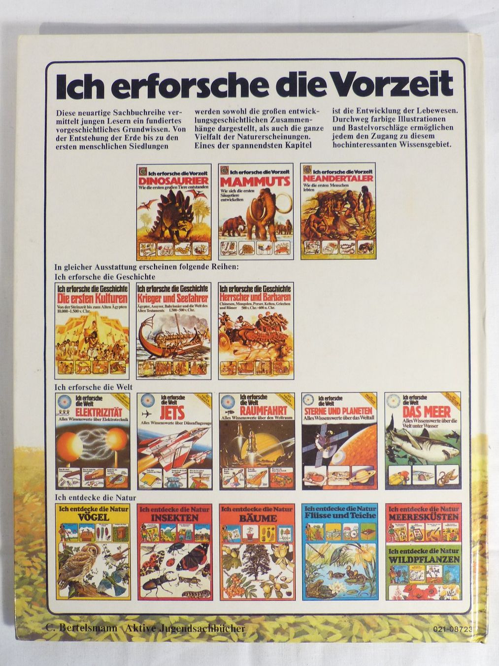 Libri: Dinosaurier Buch für Kinder – Nuovo (secondo la descrizione) da Zürich venduto da botschinski 5