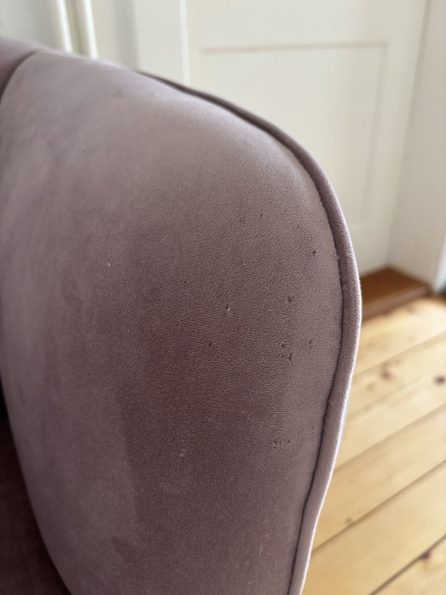 Westwing Sessel: Wunderschöner Sessel Westwing – Gebraucht aus Glattfelden von Mini8866 2