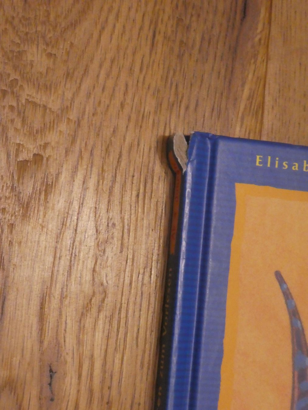 Libri: Kleine Dinosaurier Geschichten – Usato da Dinhard venduto da heidibei 4