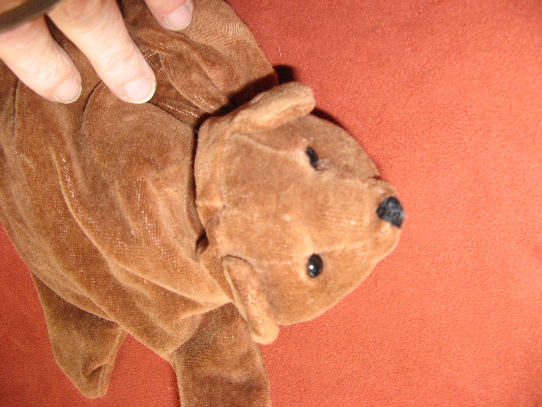 Giocattoli: Bär Handpuppe – Usato da Zürich venduto da apil
