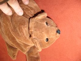 Bär Handpuppe