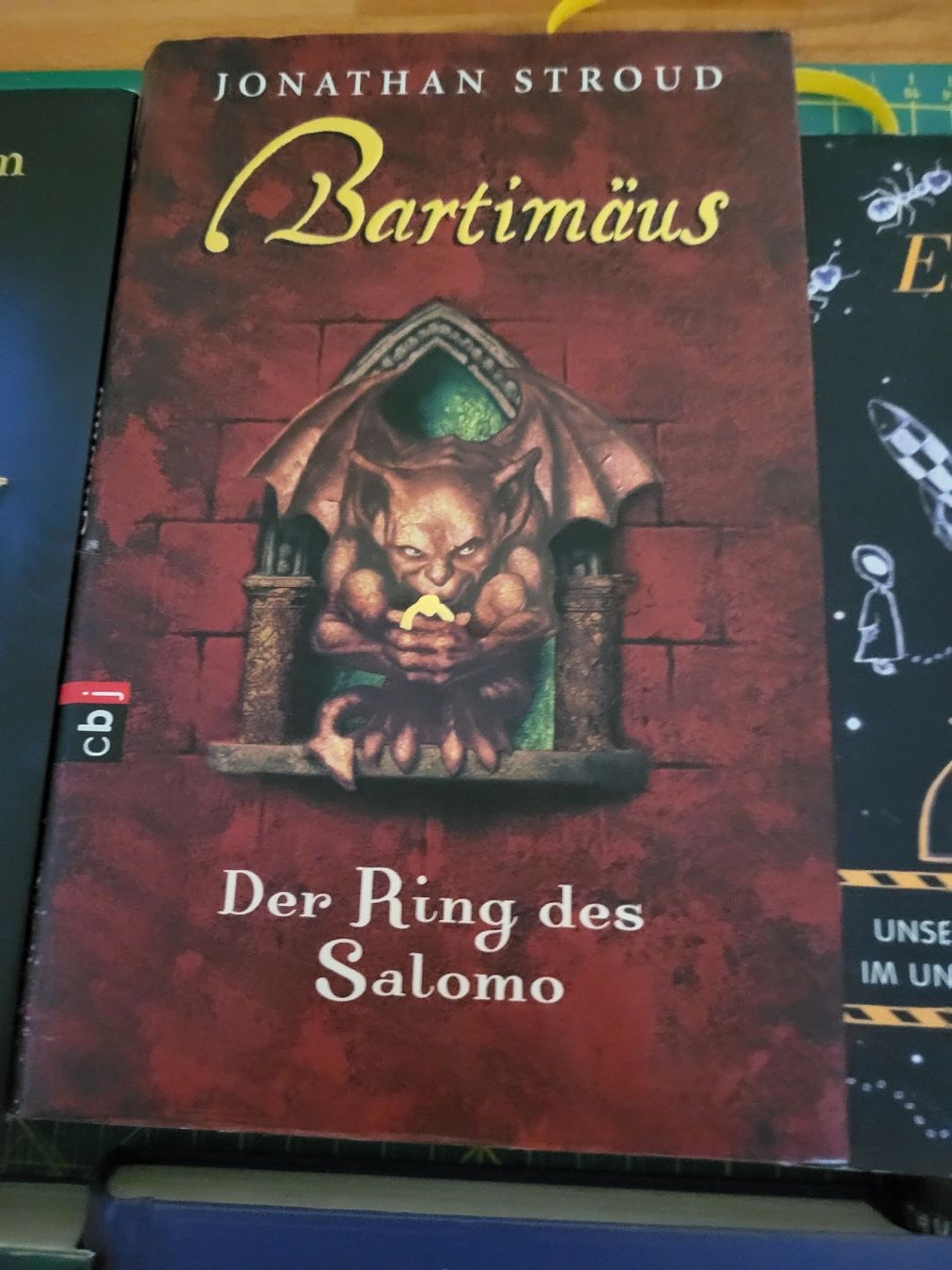 Libri: 8 Fantasybücher – Usato da Möriken AG venduto da Vandine 4
