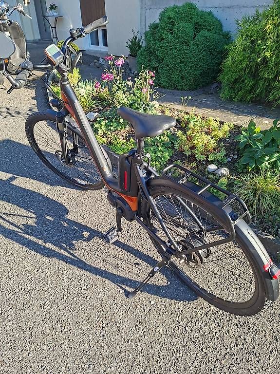 Biciclette: E bike bergamont – Usato da Gontenschwil venduto da hansruedid02 2
