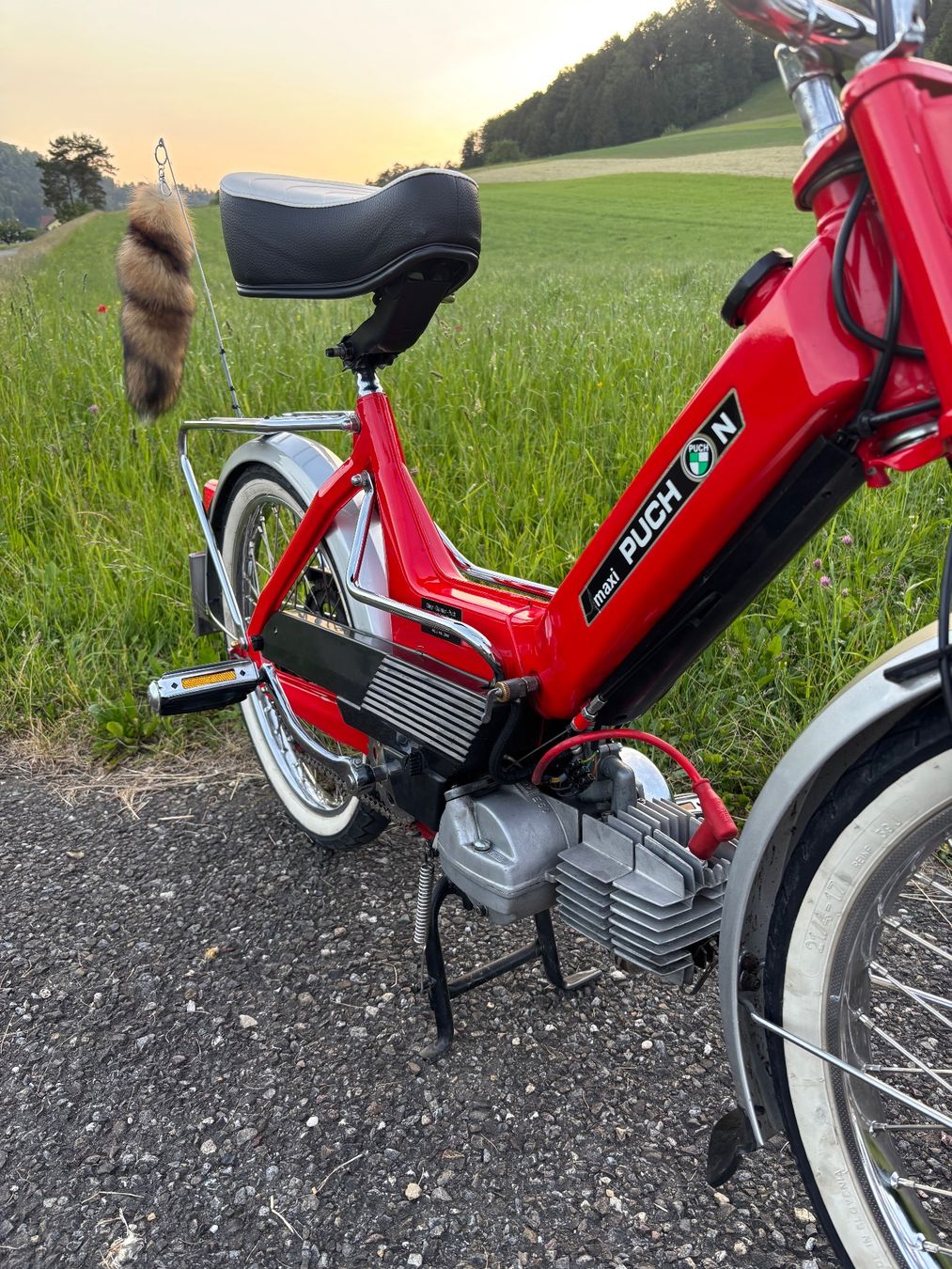 Puch Ciclomotori: Puch Maxi N ( Urmaxi ) – Usato da Turbenthal venduto da sch_8bqz 4