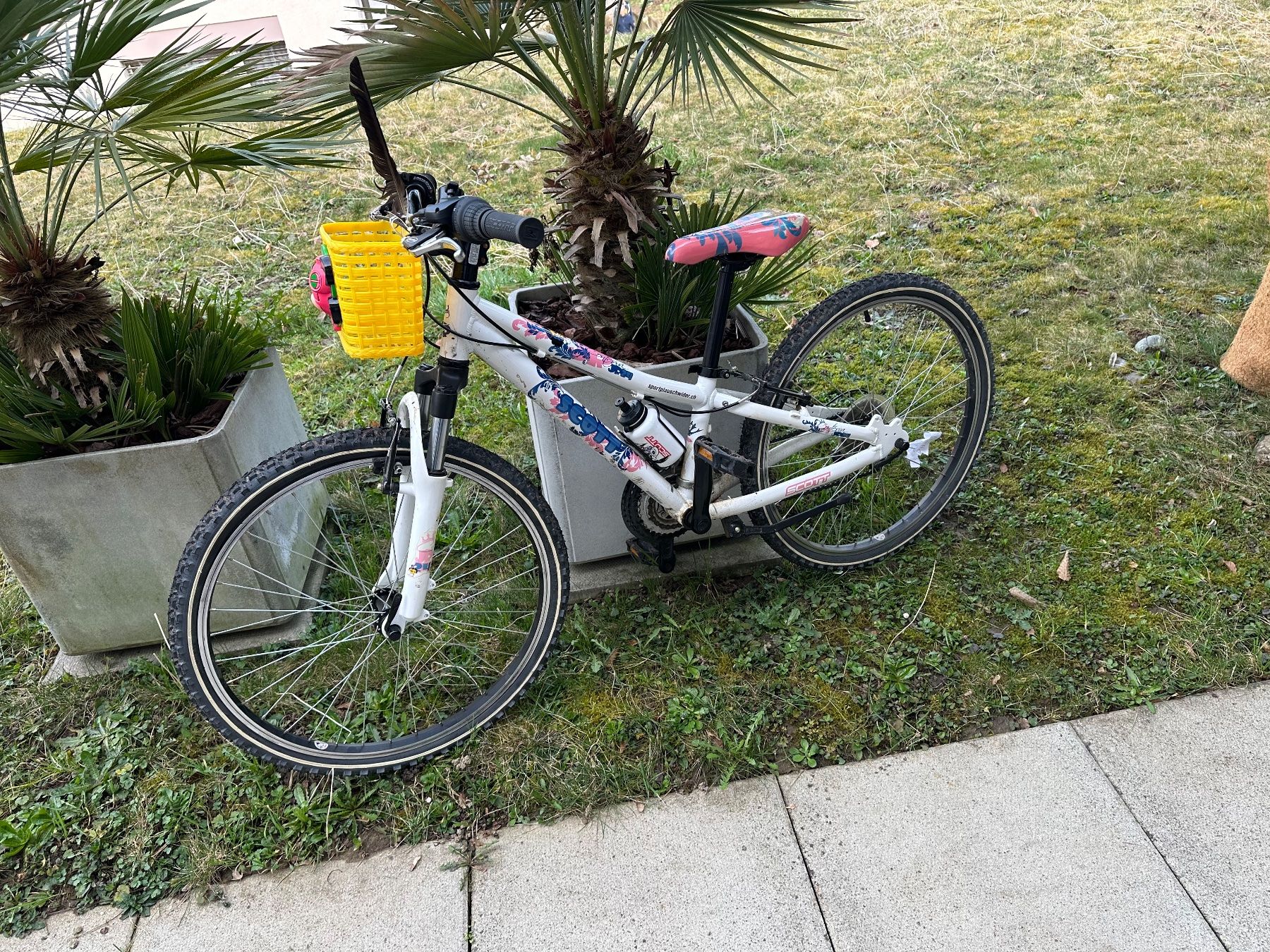 Scott Biciclette: Scott Kinder Bike – Usato da Kloten venduto da Kuechler65