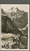 AK Klausenpasshöhe UR Ziegenidyll vor Scheerhorn ≈ 1941