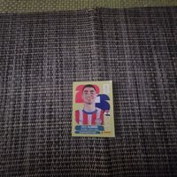 panini