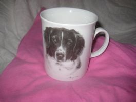 PORELLAN  TASSE    SENNENHUND
