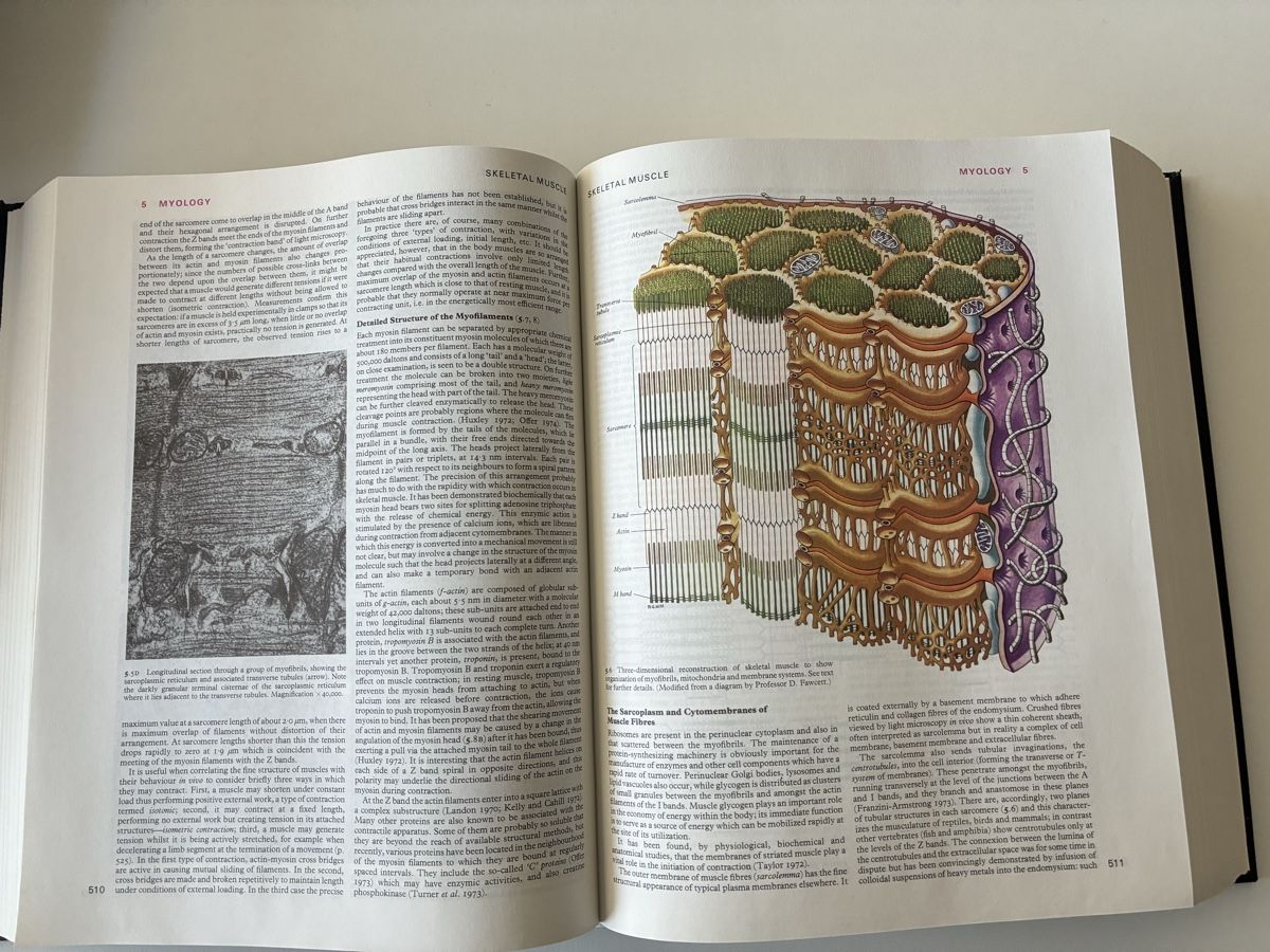 Libri: Gray's Anatomy 36th Edition 1980 – Usato da Chur venduto da Knokno199 4