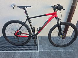 Crosswave Rocky Mountainbike 29" (Rahmen 21")  Top Zustand!