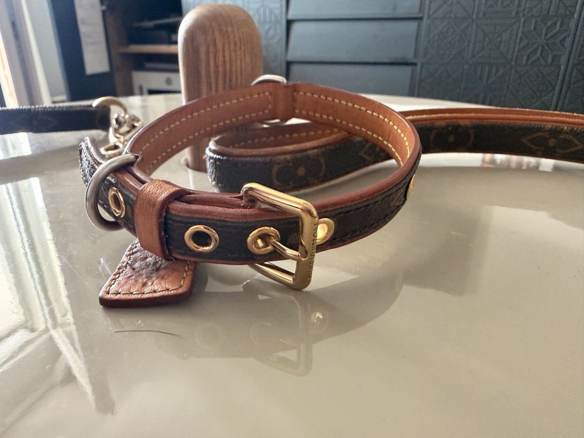 Guinzagli & Collari: Original Louis Vuitton Hundehalsband & Leine Monogram – Usato da Buchs ZH venduto da tiz_9mpn 1