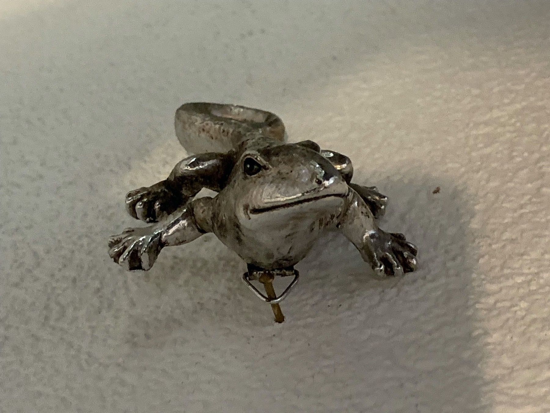 Alle Dekorationen: Gecco Salamander Deko mit Wandhalterung – Neu (gemäss Beschreibung) aus Bern von FANTASTICTREASURES 2