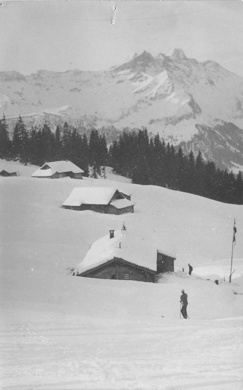 Cartes postales: Alpe Basel – D'occasion à Biasca par Blenio71
