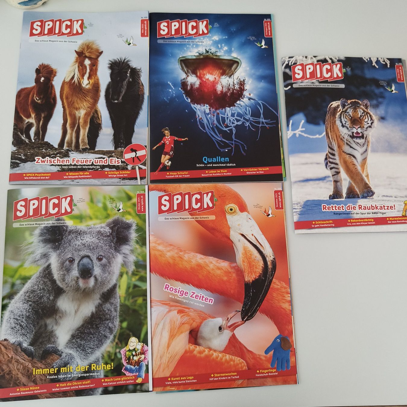 Riviste & Magazine: SPICK Magazin-Set (5 Stck) – Usato da Meilen venduto da FAVALLID
