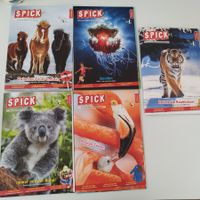SPICK Magazin-Set (5 Stck)
