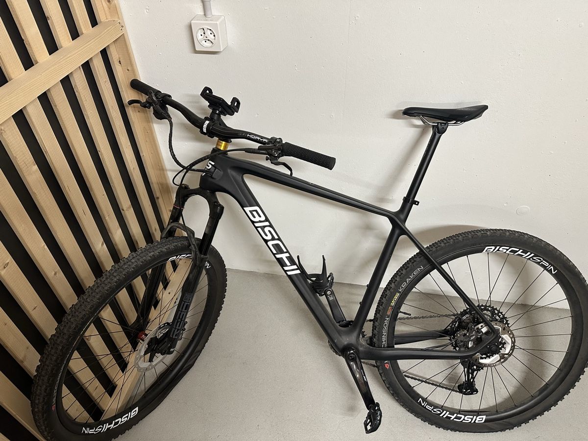 Biciclette: Carbon Hardtail 29” XT Carbon Wheels MINT – Nuovo (secondo la descrizione) da Neuhausen venduto da sah_q7f6