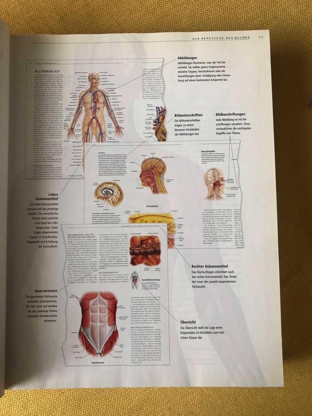 Libri: ANATOMICA von Könemann – Usato da Oberweningen venduto da Gerini 4
