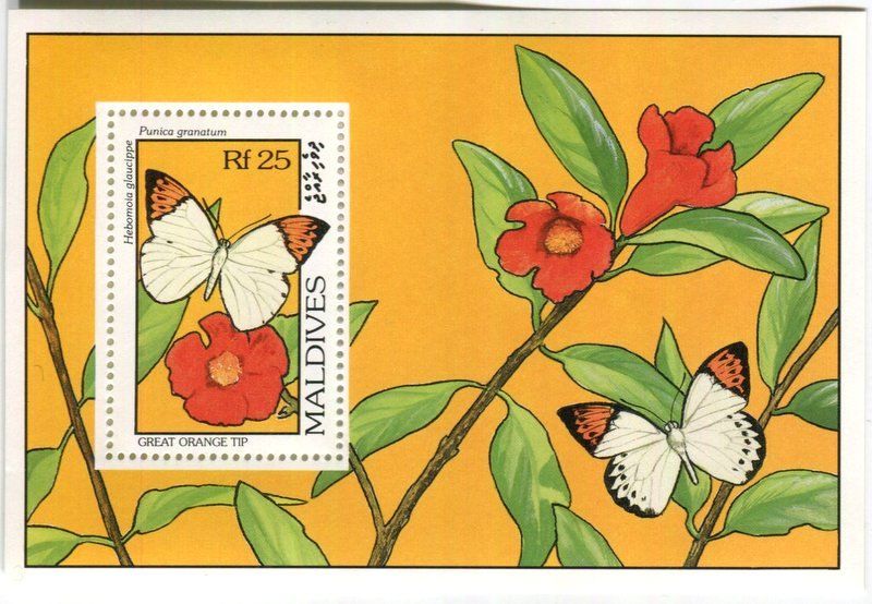 Tous les timbres: Block "Schmetterlinge". Malediven. – Neuf avec emballage d'origine à Basel par Butsch5