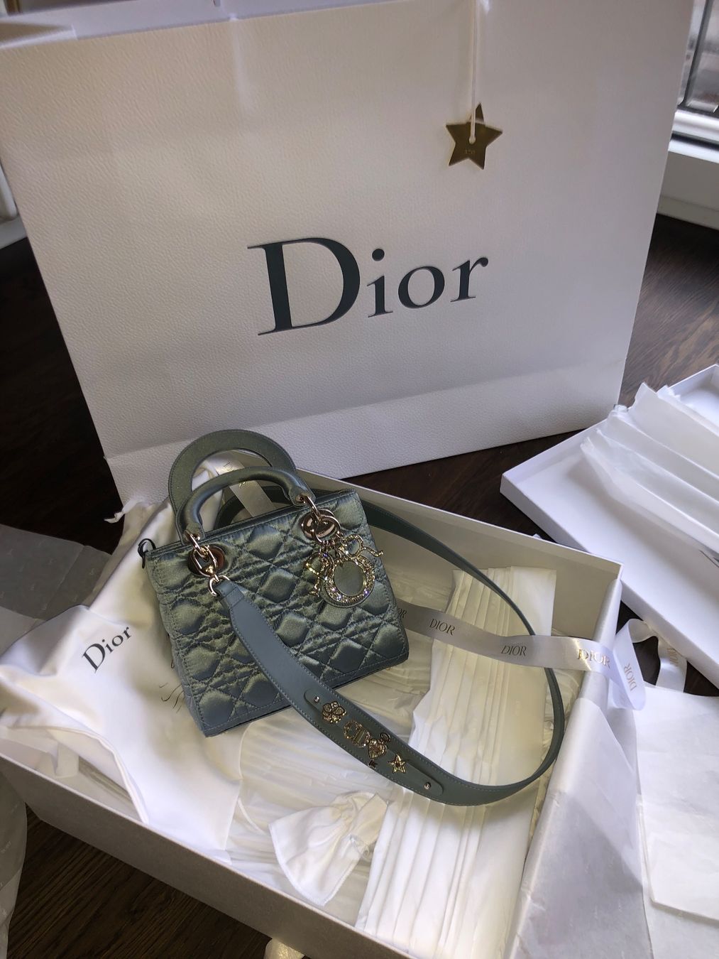 Dior Borse da donna: Lady Dior Bag – Nuovo e nell'imballaggio originale da Zürich venduto da Aemilia82 1