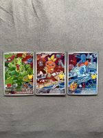 Pokémon Treecko, Torchic, Mudkip first partner