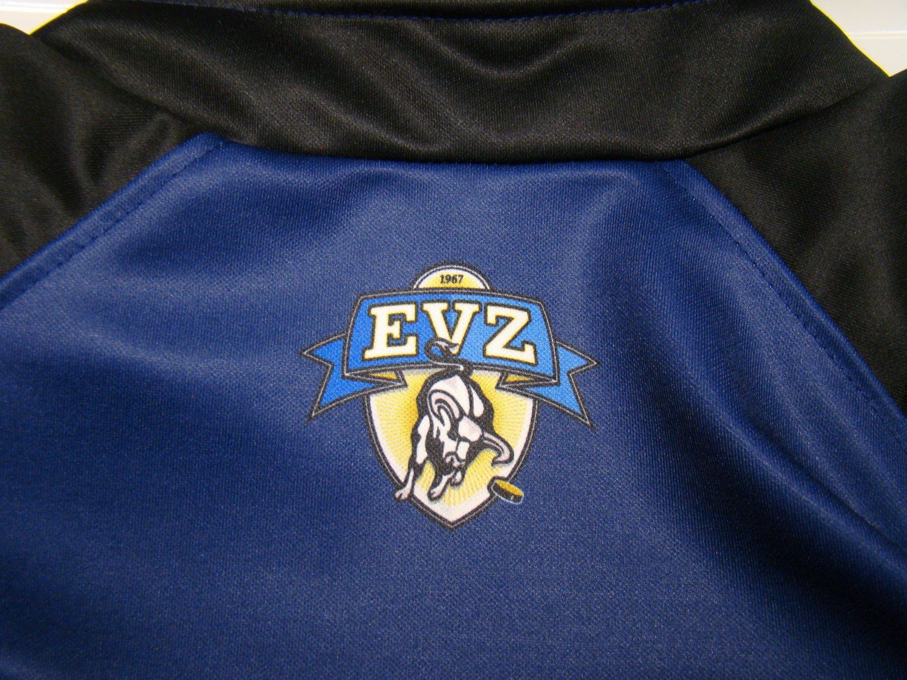 Giacche: EVZ Trainings-/Freizeitjacke Grösse M – Usato da Hergiswil NW venduto da Nunun 5