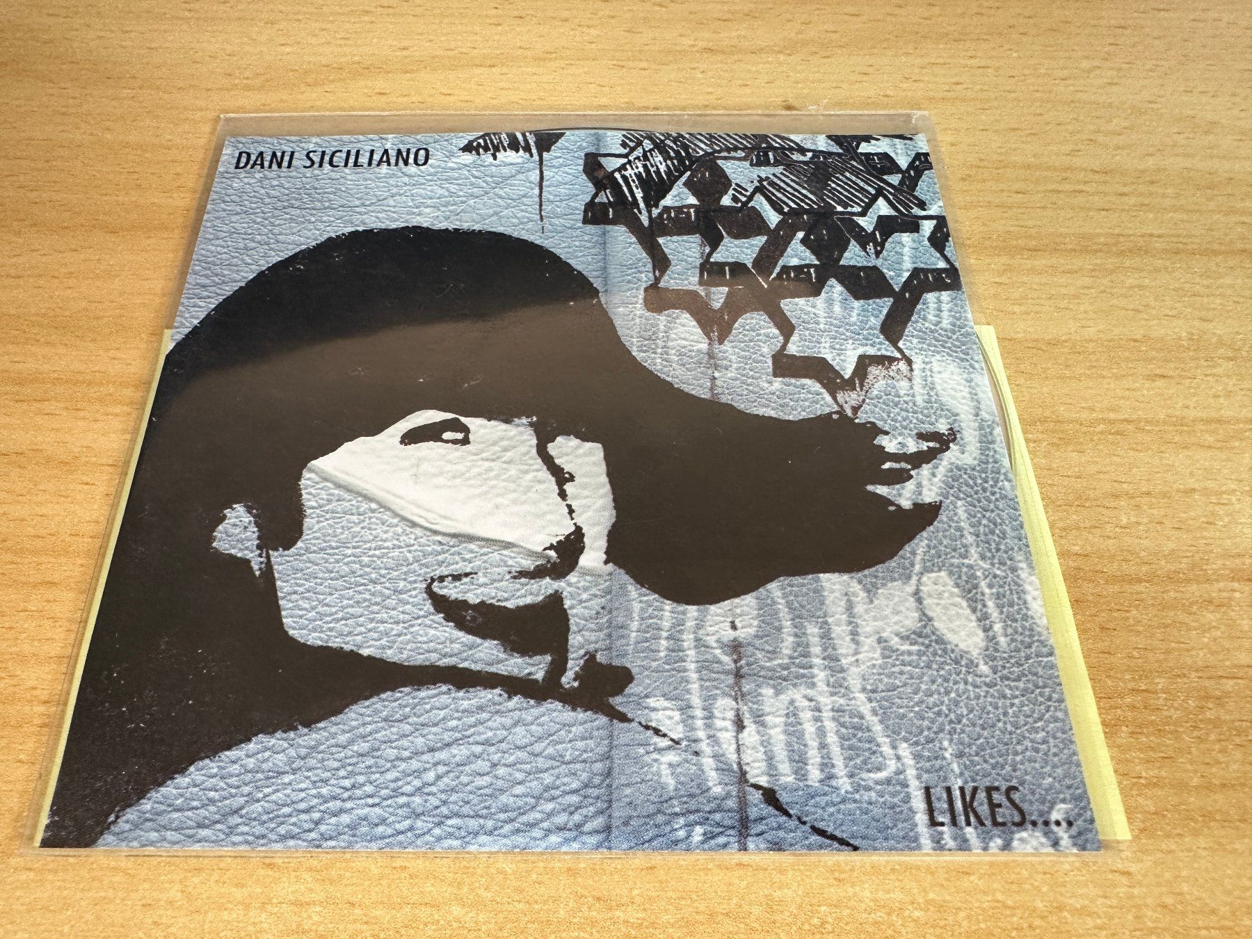 CDs: Dani Siciliano – Likes.... - Promo CD – D'occasion à Rikon im Tösstal par Alpenmutz