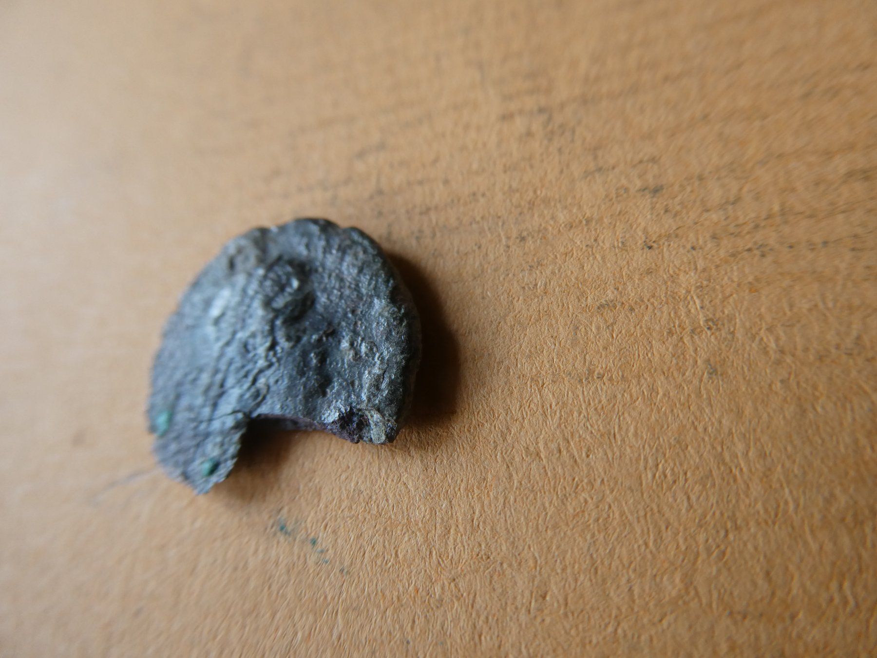 Alle Münzen: uralte Bronzemünze 16 mm     1.49 g – Gebraucht aus Hinterforst von Rohusri 3