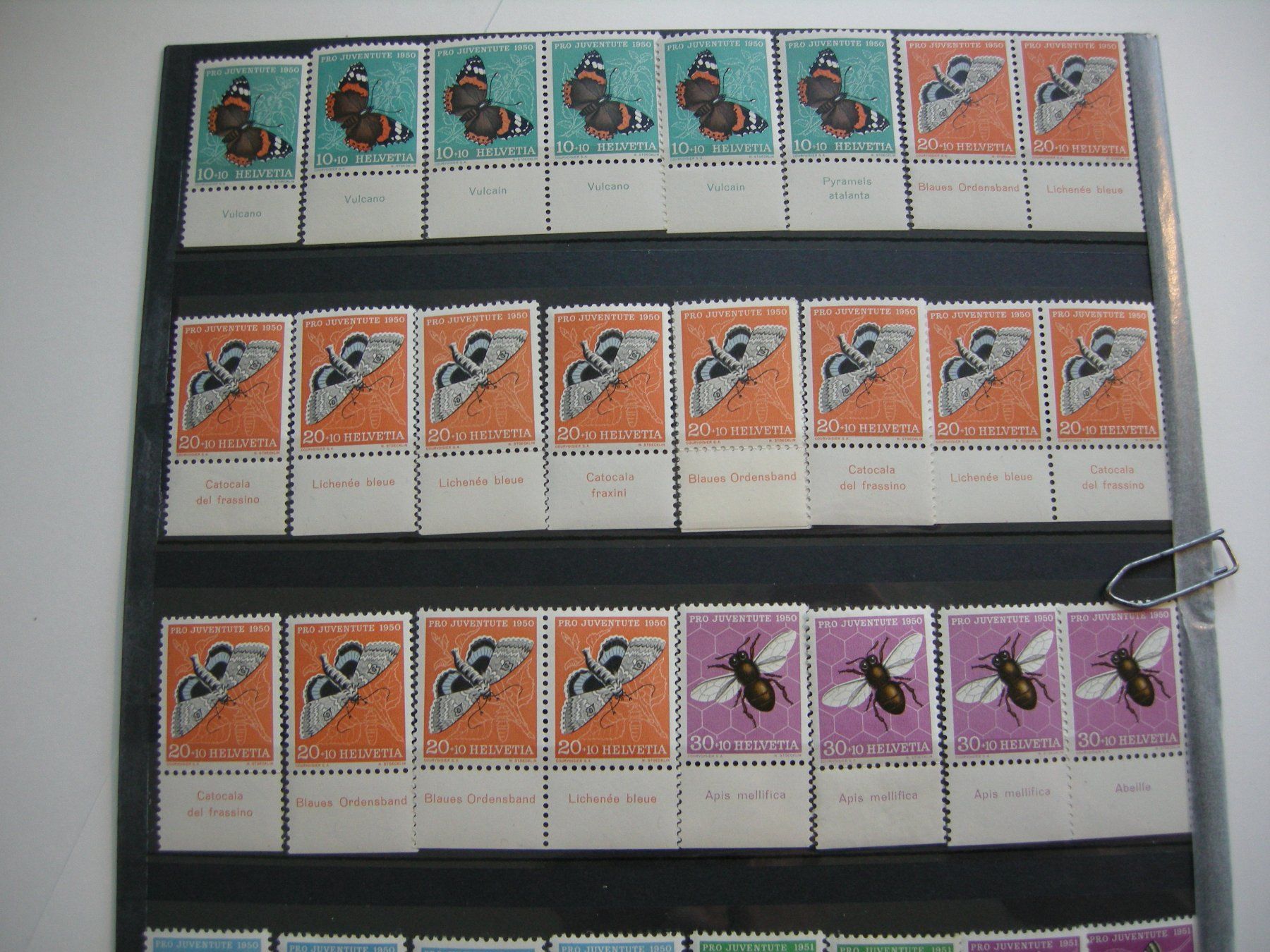 Tutti i francobolli: 1950/1951, PRO JUVENTUITE TABS, RESTLOT POSTFRISCH/** – Usato da Rüti ZH venduto da jupi1945 2