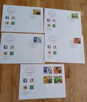 2010 FDC Schweiz Motiv Brauchtum