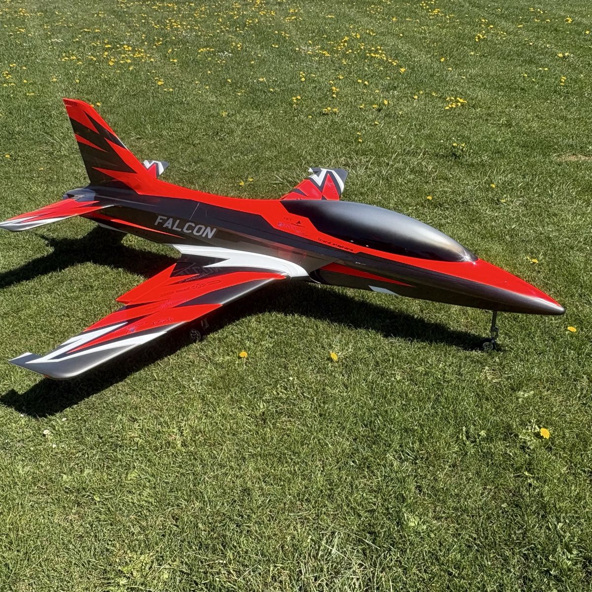 RC Modellbau: Skywing Falcon – Gebraucht aus courtelary von sedeal