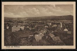 Brittnau, Ortsansicht über die Dächer