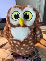 Coop Sammelartikel Eule "Oscar" ab 1.-