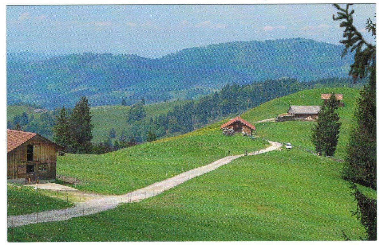 Cartoline postali: AK Alpwirtschaft Under Chapf, Bächli SG – Usato da Zürich venduto da Tolima194