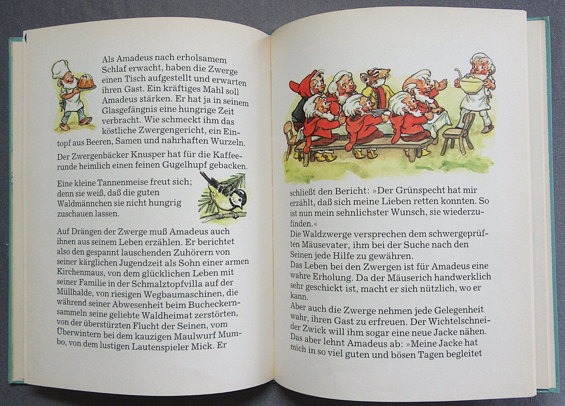 Libri: Die Abenteuer des Mäusevaters Amadeus Knabberzahn – Usato da Auenstein venduto da Padabimbim 5