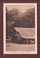 BRUDERHAUS bei Winterthur - Wildpark