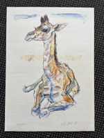 Lithografie / Giraffe von Fritz Hug 1975       (ID B5667)