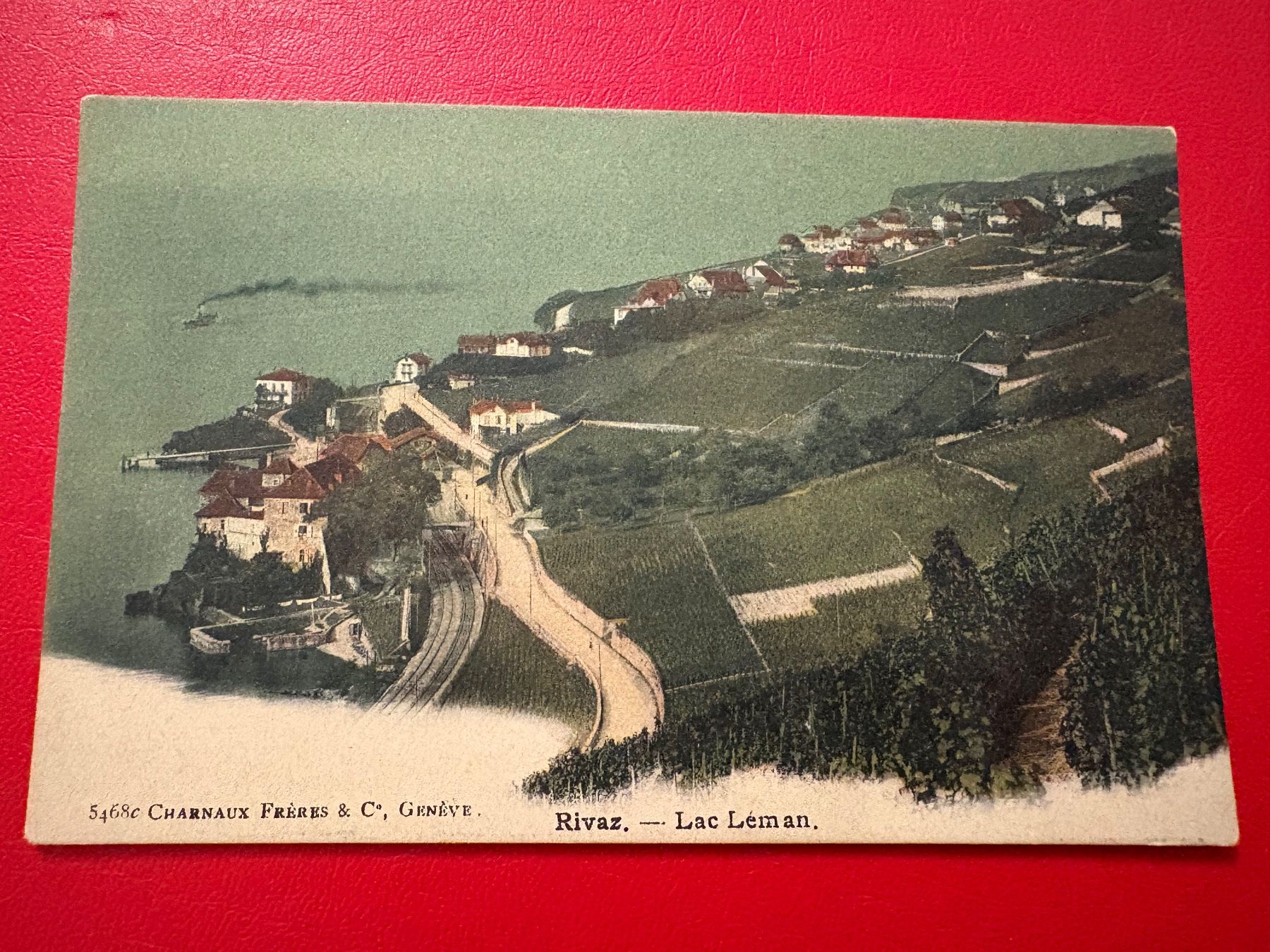 Cartoline postali: Rivaz - Lac Léman – Usato da St-Légier-Chiésaz venduto da Theo006