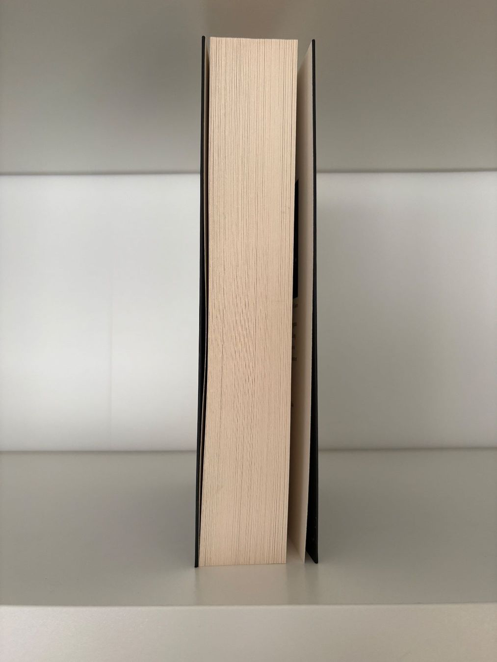Libri: When the King falls - Marie Niehoff – Nuovo (secondo la descrizione) da Steffisburg venduto da elsa.catalina 3