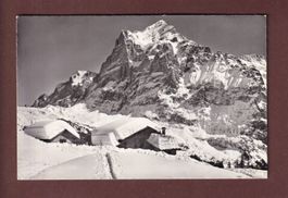 GRINDELWALD - Hertenbühl - Wetterhorn - 1968