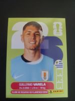 PANINI 2026 -URU 8