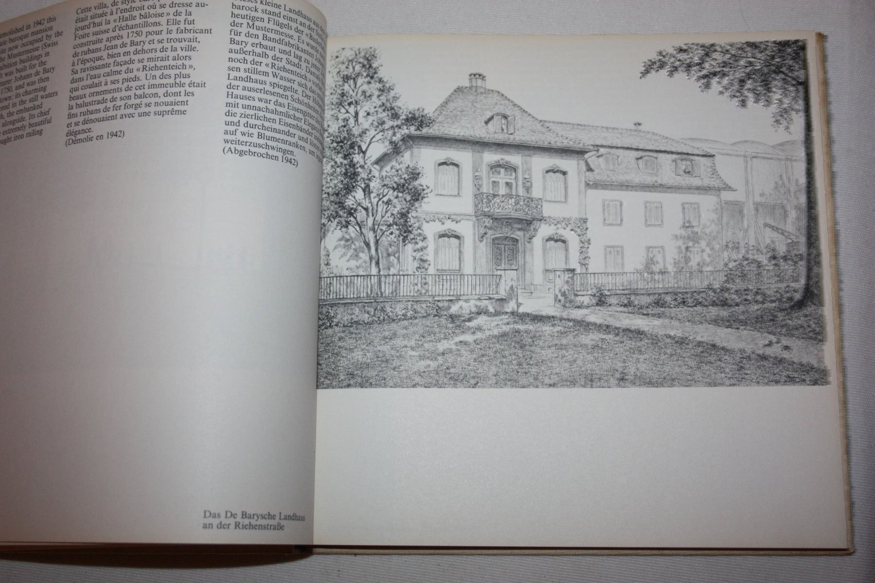 Libri: Hans Bühler: Basel im Wandel – Usato da Oberwil BL venduto da Hesa41 1