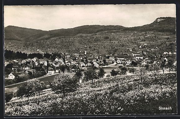 Cartes postales: AK Sissach, Teilansicht mit Blumenwiese – D'occasion à Berlin par bartko-reher