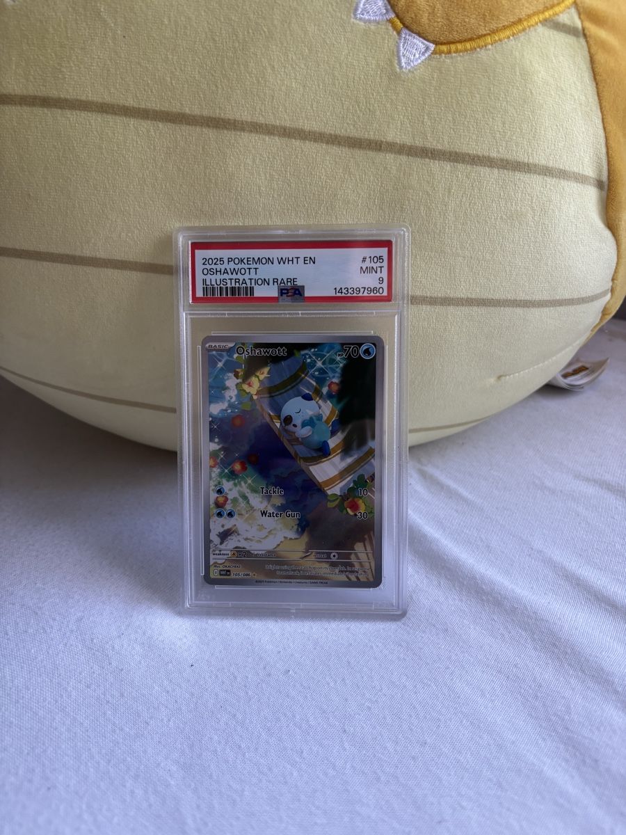 Pokémon Carte collezionabili: Oshawott Ar PSA 9 AB 1 CHF – Nuovo (secondo la descrizione) da St. Gallen venduto da fedetinell