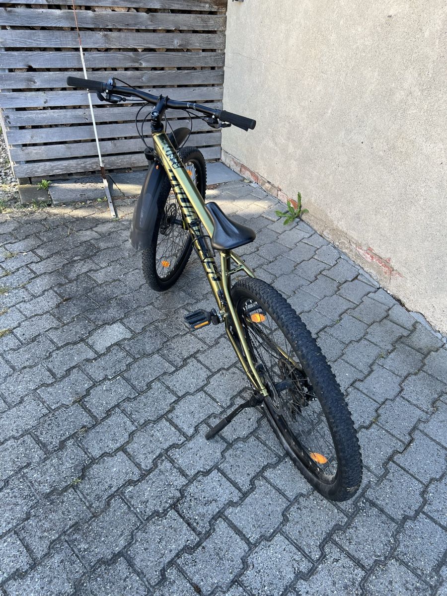 Bergamont Biciclette: Mountainbike Bergamont – Usato da Rünenberg venduto da cycletech550 2