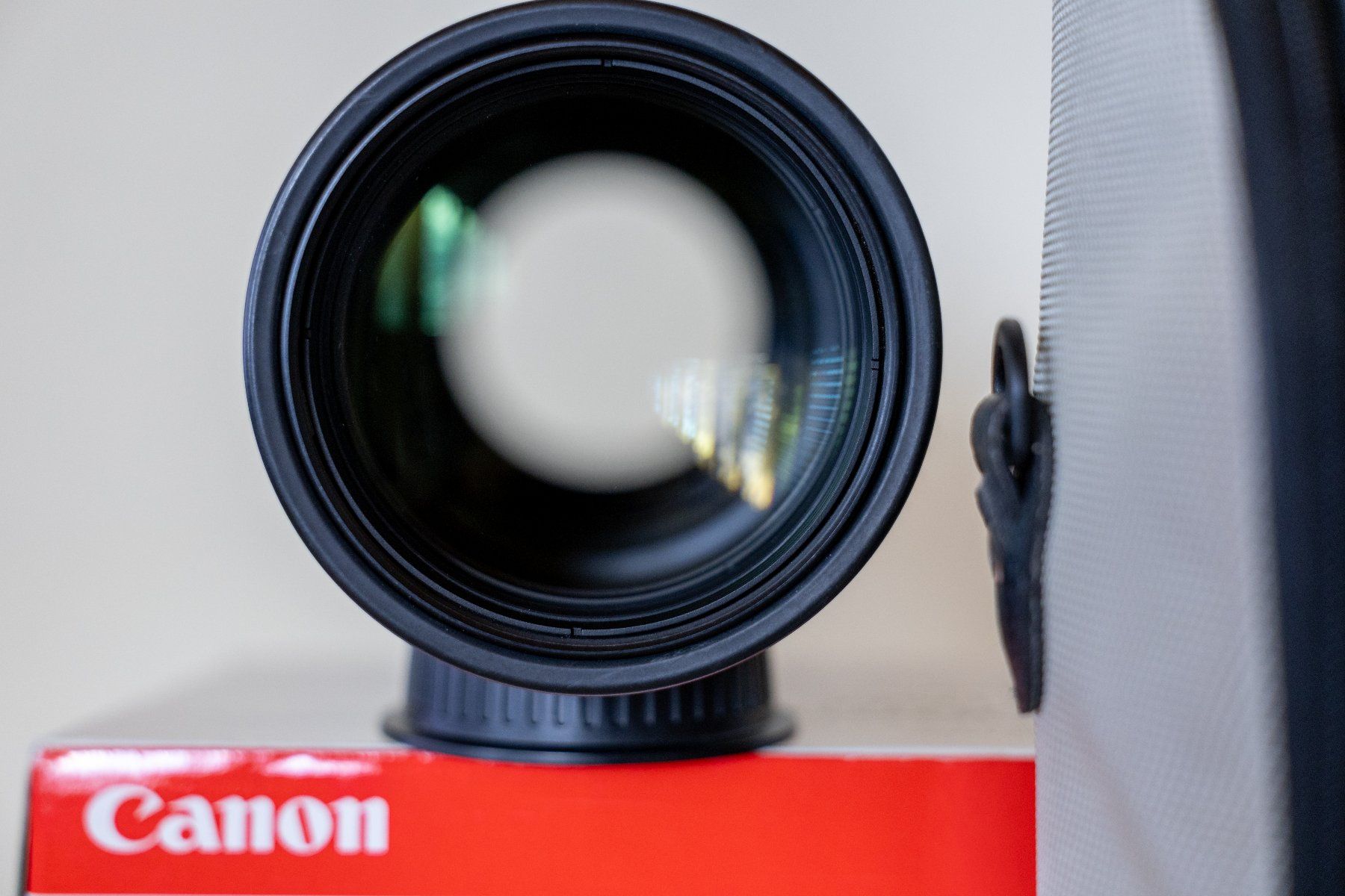 Canon Obiettivi: Canon EF 300mm f/4 IS USM – Usato da Russikon venduto da strope01 3