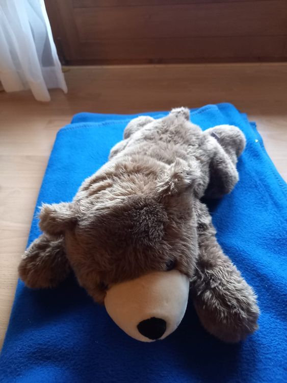 Wagner Plüschtier Löwe Baby – 62 Cm, Braun, Weich & Kuschelig
