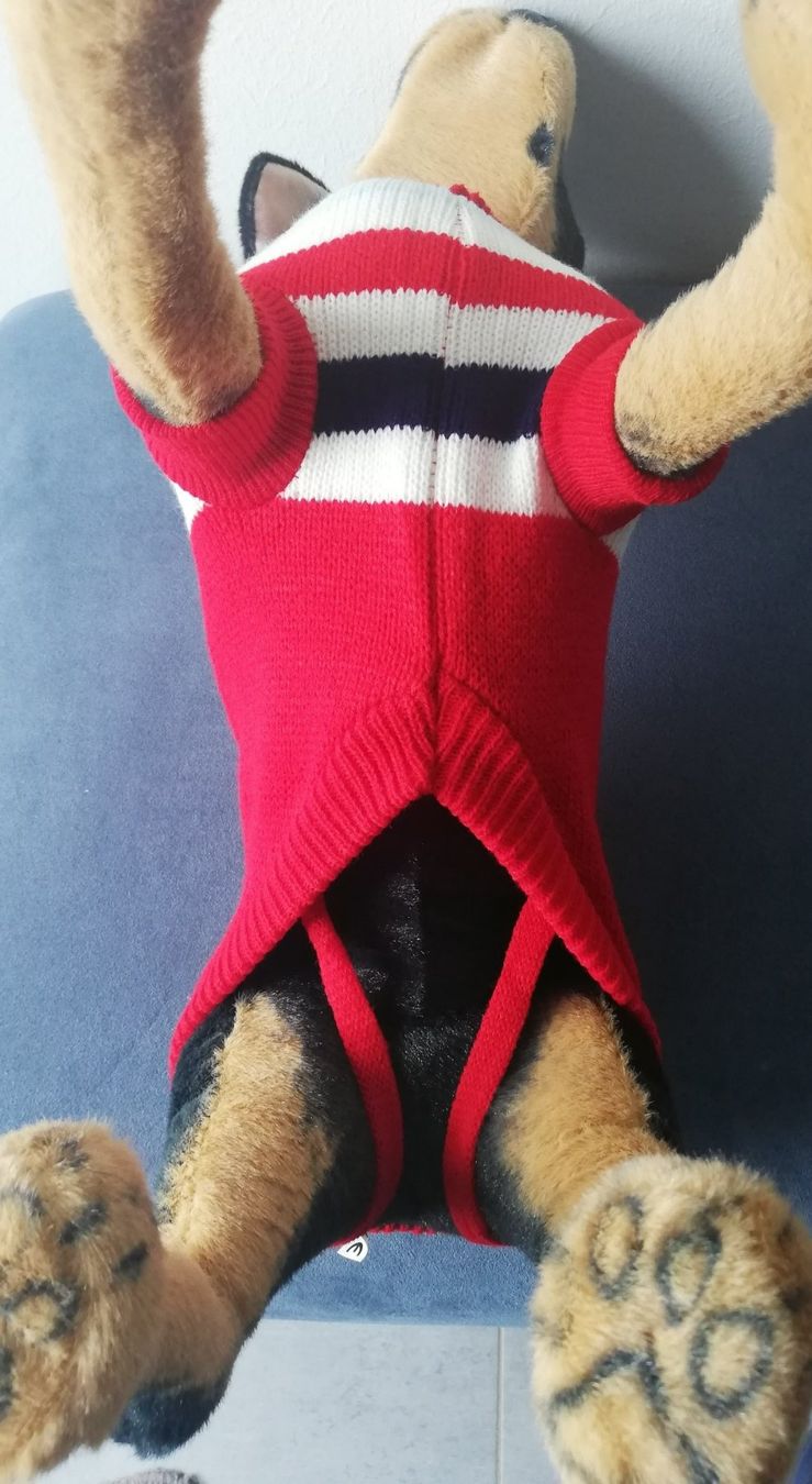 Abbigliamento: Warmer Hunde Strickpullover rot mit Streifen 36 cm lang – Nuovo e nell'imballaggio originale da Rüegsauschachen venduto da W4PAW 3