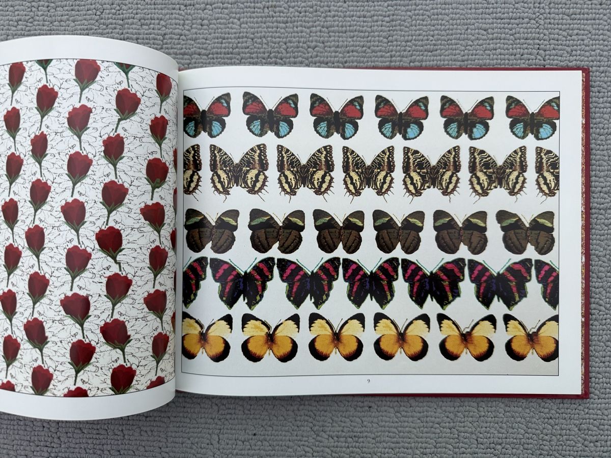Libri: ///Das Magische Auge, Illusionsbilder/// – Usato da Birmenstorf AG venduto da Pat_roll 1